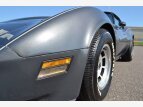 Thumbnail Photo 12 for 1981 Chevrolet Corvette